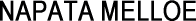 �i�p�[�^�E�����G